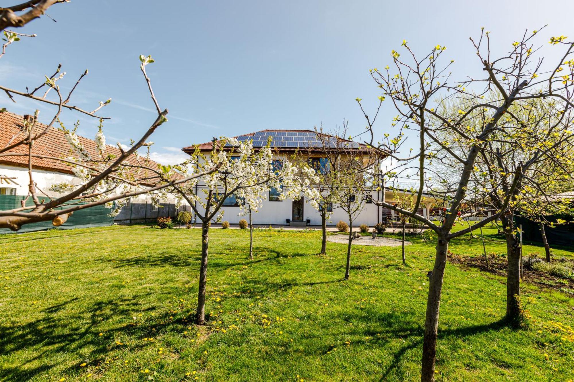 Hotel Wings Gasthaus Timişoara Exterior foto